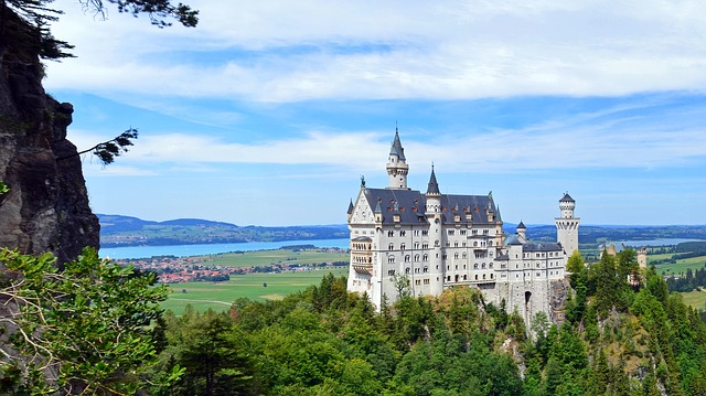 professional moving company to Germany