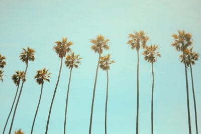 moving company to los angeles