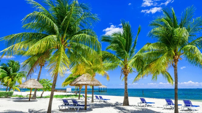 moving company to Mexico