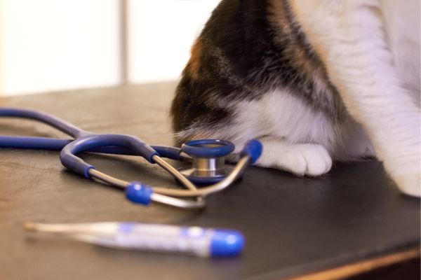 Pet Vaccines