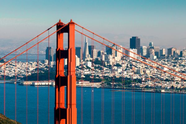 International Movers – San Francisco (2023)